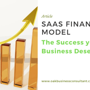 SaaS Financial Model The Success your Business Deserves