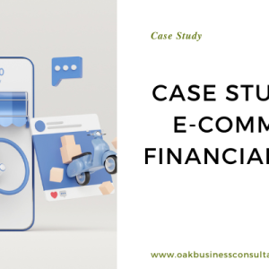 E-Commerce Financial Model Case Study