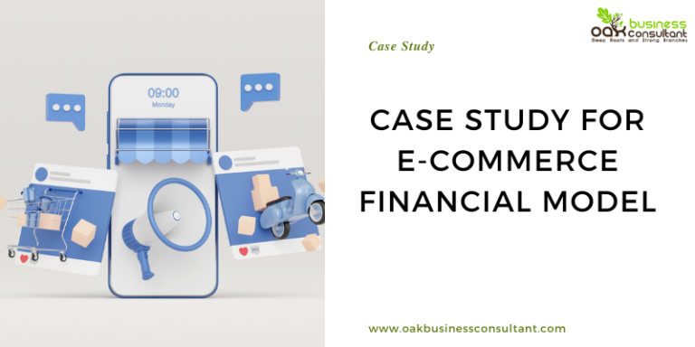 E-Commerce Financial Model Case Study