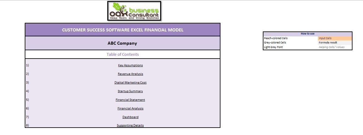 Customer Success Software Excel Financial Model Template
