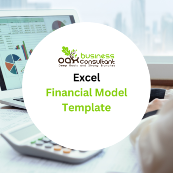 Excel Financial Model Template