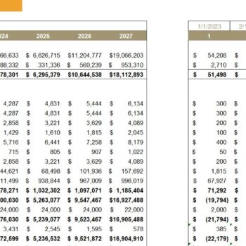 SaaS Customer Service Software Financial Model- Income Statement