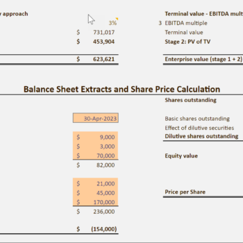 DCF Model with Company Valuation-Input 3