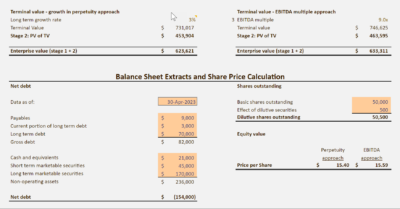 DCF Model with Company Valuation - Oak Business Consultant