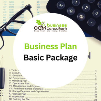 Business Plan Basic Package