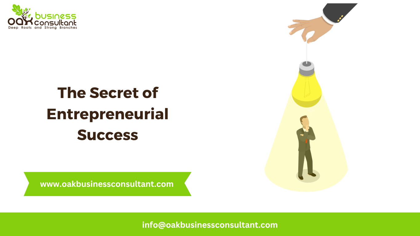 The secret of entrepreneurial success: a founder's financial playbook