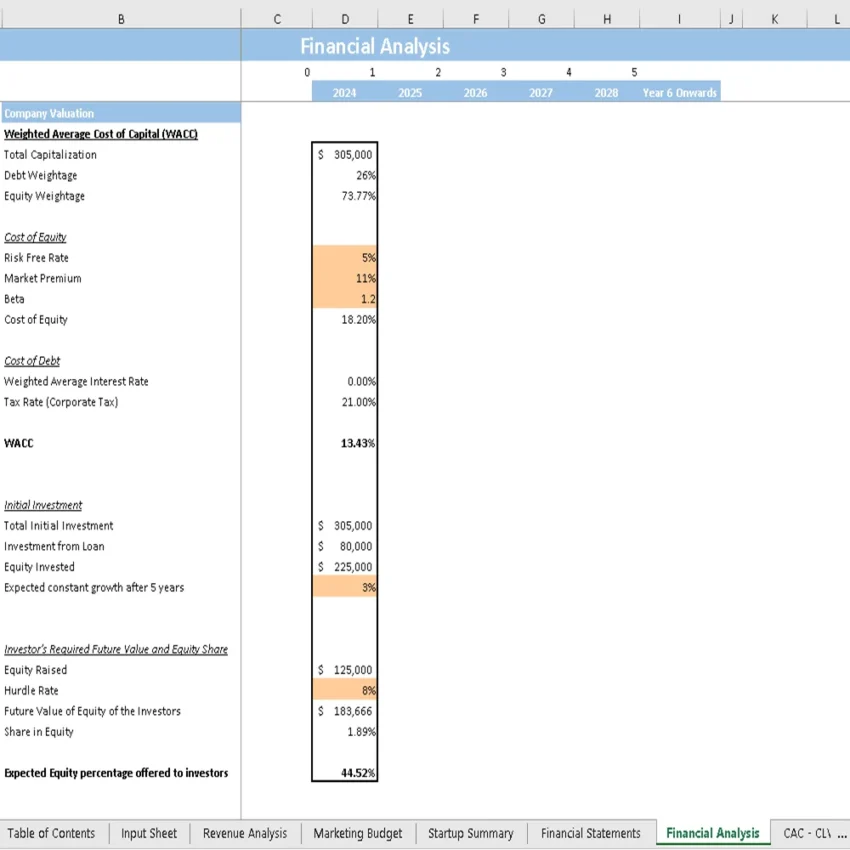 Digital Medical Assistant Financial Model - Company Valuation