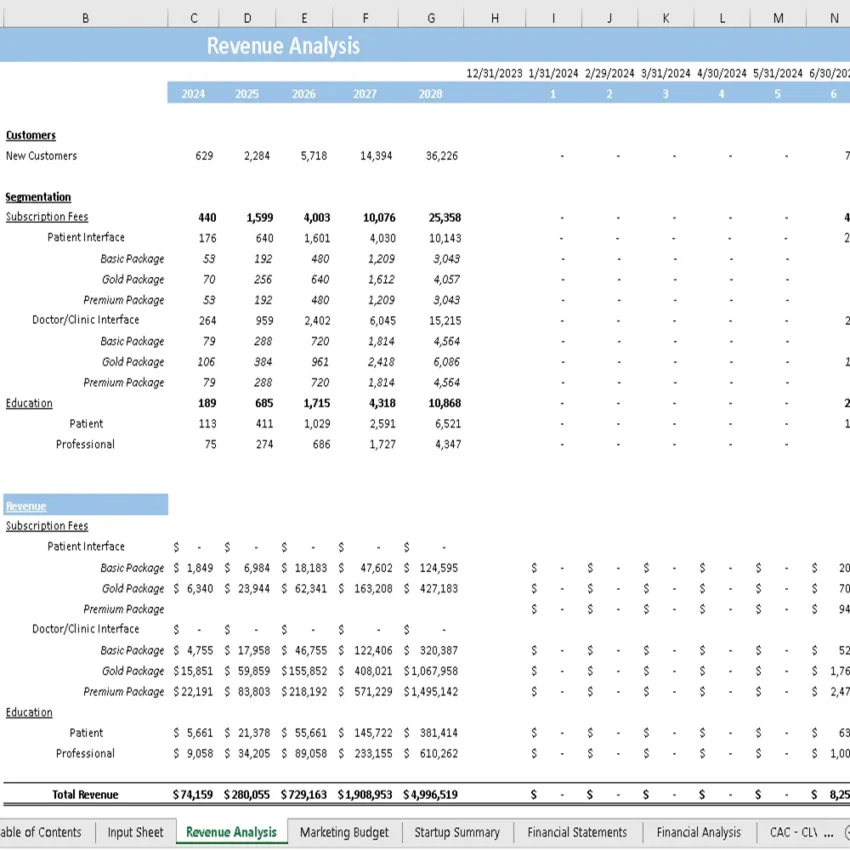 Digital Medical Assistant Financial Model - Revenue Analysis