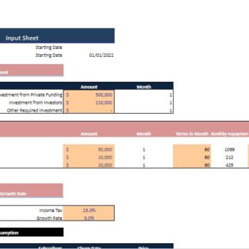 Gamification Business Excel Financial Model - Input Sheet