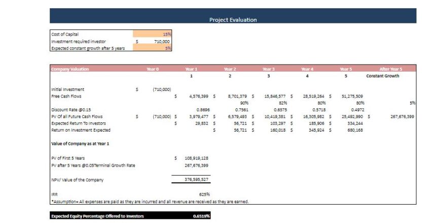 Gamification Business Excel Financial Model -Project Evaluation