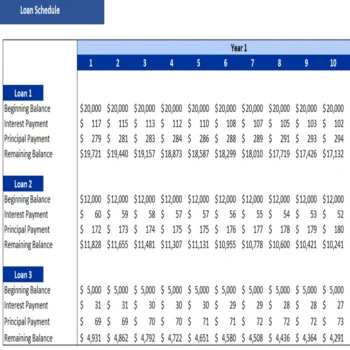 Online Food Delivery Financial Model-loan