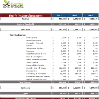 Small Online Business Financial Model-Income Statement