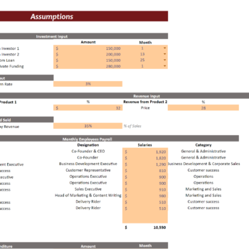 Small Online Business Financial Model-Input Sheet