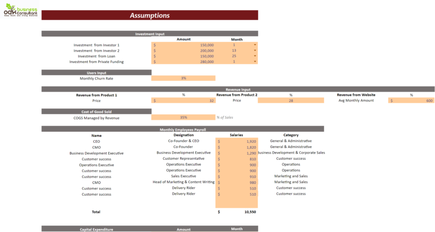 Small Online Business Financial Model-Input Sheet