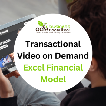 Transactional Video on Demand Excel Financial Model