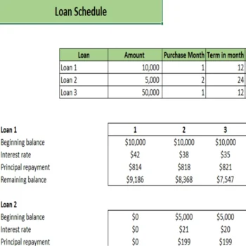 Online Organic Store Excel Financial Model Projection Template - Loan Amortization Schedule