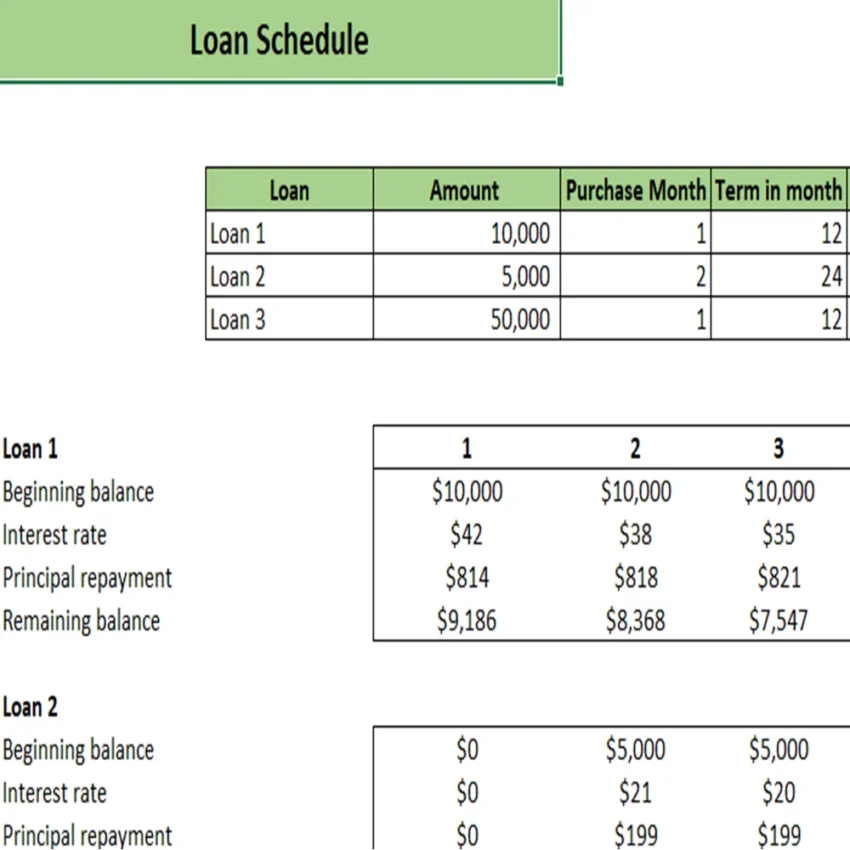 Online Organic Store Excel Financial Model Projection Template - Loan Amortization Schedule