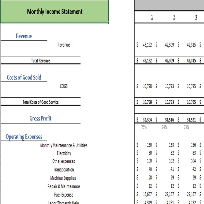 Online Organic Store Excel Financial Model Projection Template - Monthly Income Statement Projection