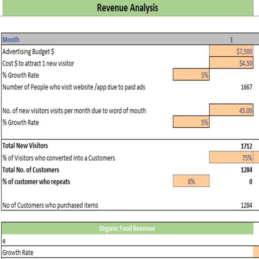 Online Organic Store Excel Financial Model Projection Template - Revenue Analysis