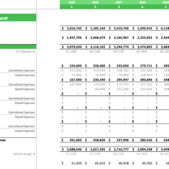 Solar Energy Excel Financial Model - Income Statement