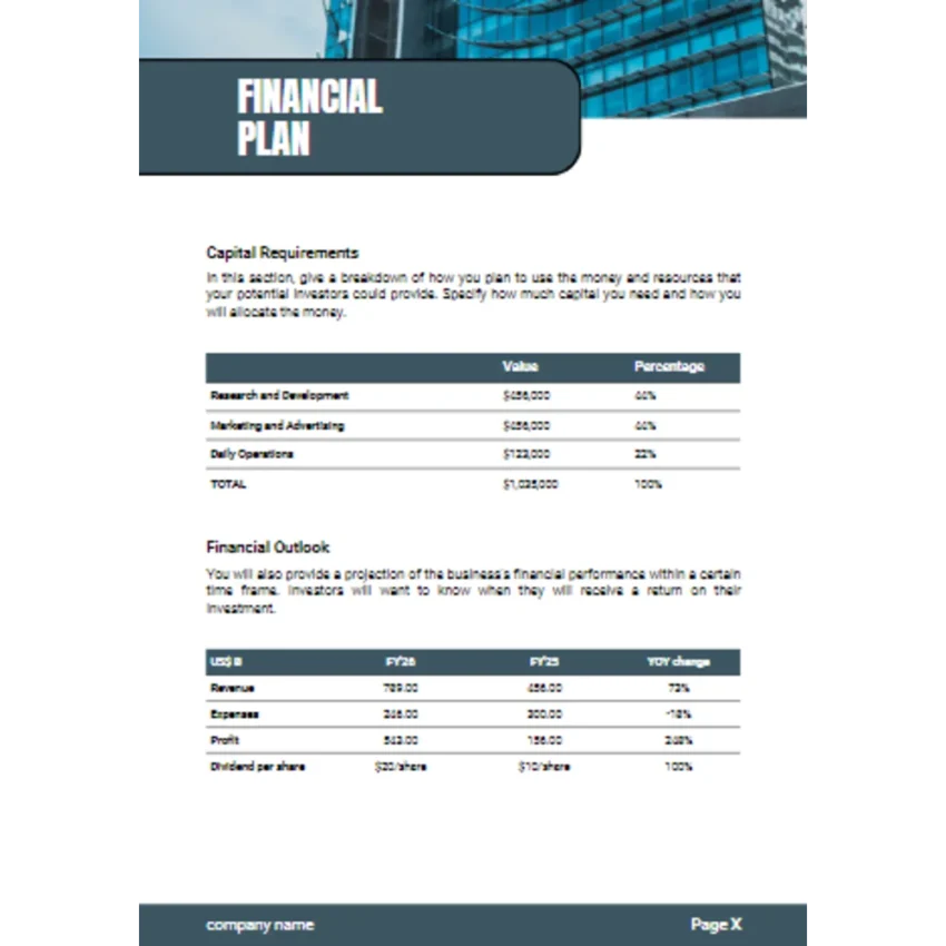 Field Service Software Business Plan Template-Financial Plan