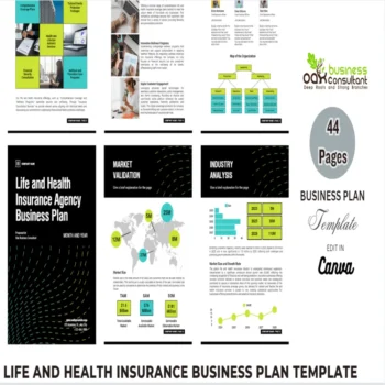 Life and Health Insurance Business Plan - Product Image