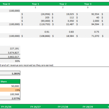 Online Fashion Store Excel Financial Model - Company Valuation