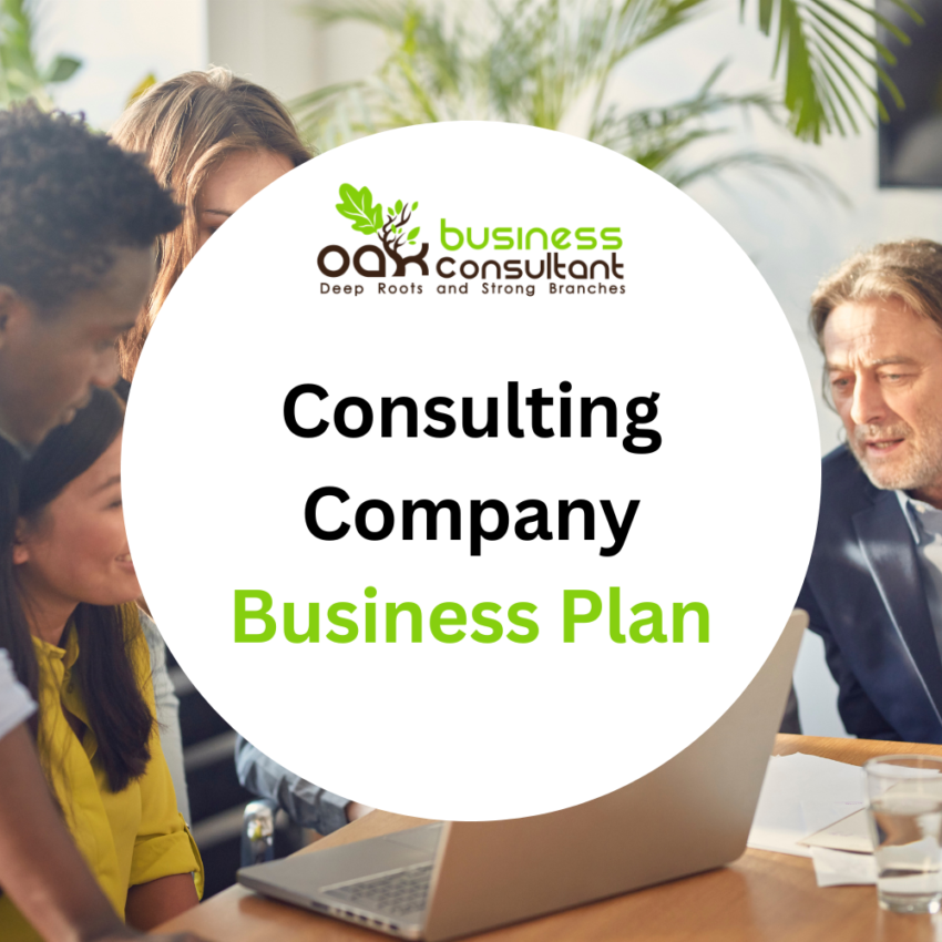 Consulting Company Business Plan