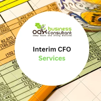 Interim CFO Services - Product Image