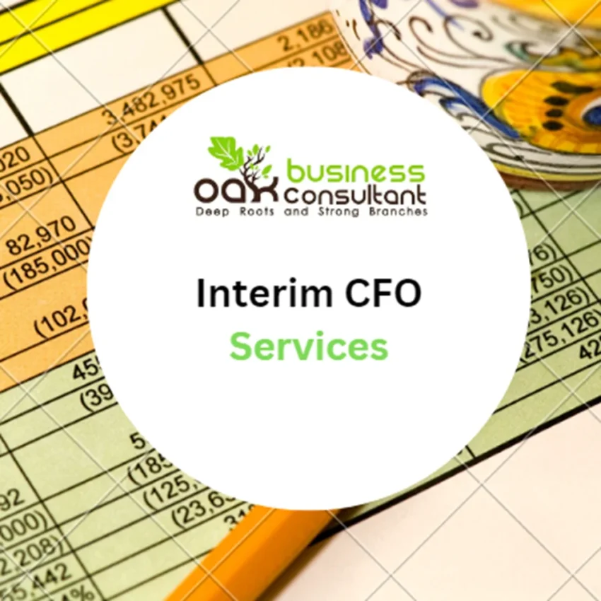 Interim CFO Services - Product Image