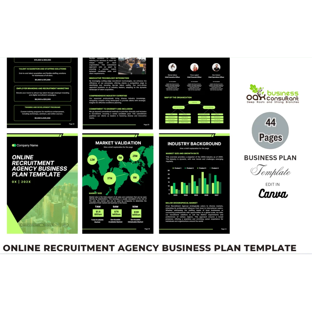 Online Recruitment Agency Business Plan - Product Image