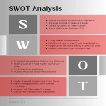 Online Toy Store Business Plan - SWOT Analysis