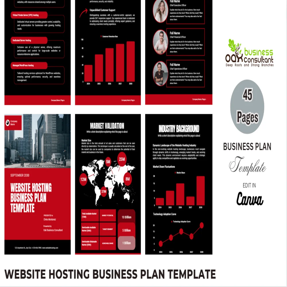 Website Hosting Business Plan - Product Image