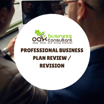 professional business plan review