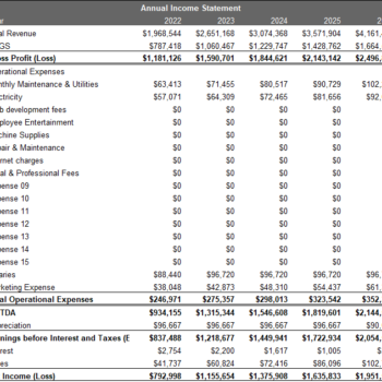 Cleaning Service Excel Financial Model Annual PnL