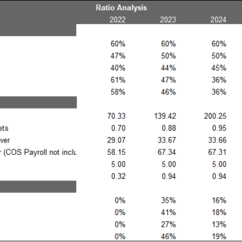 Cleaning Service Excel Financial Model Template - Image 13