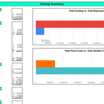 Startup Summary