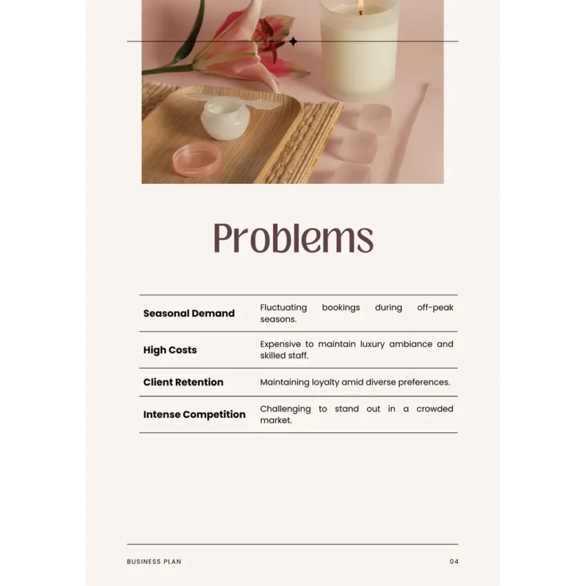 Spa Business Plan Template - Problems