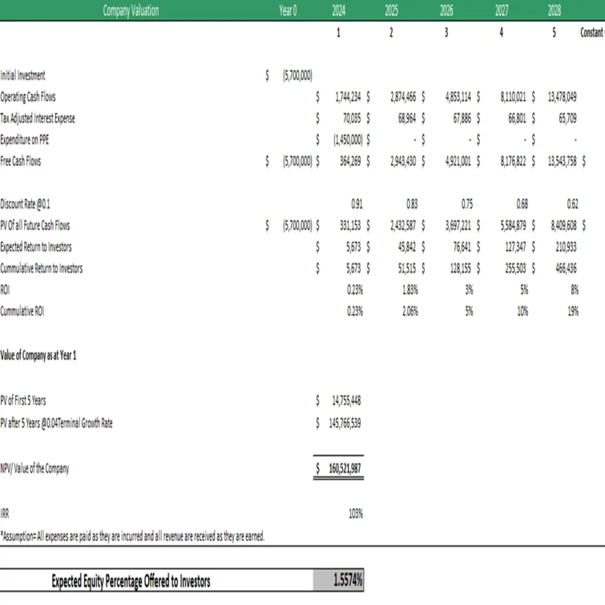 Fishing Club Excel Financial Model Template- Company Valuation