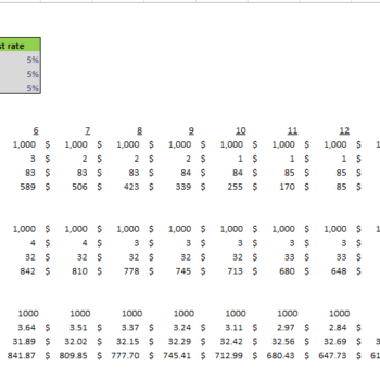 Museum Financial Model Loan Schedule