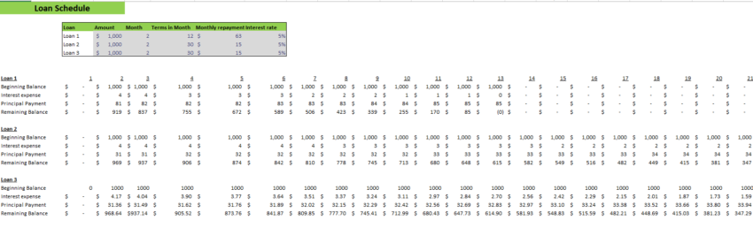 Museum Financial Model Loan Schedule