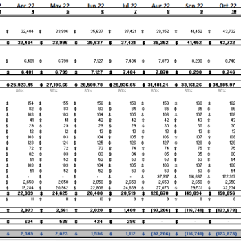 Museum Financial Model Monthly Income Statement