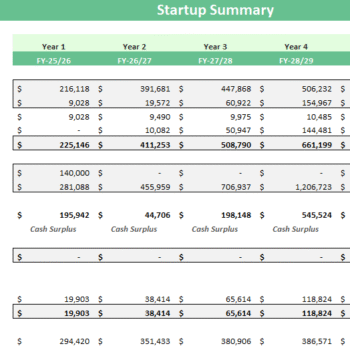 Museum Financial Model - Startup Summary
