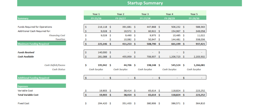 Museum Financial Model - Startup Summary