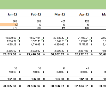 Museum Financial Model revenue analysis