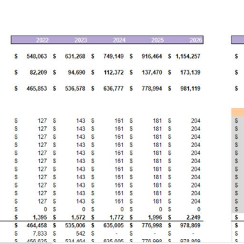 Oil and Gas Financial Model Template-income statement