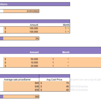 Oil and Gas Financial Model Template-input