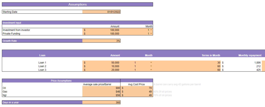 Oil and Gas Financial Model Template-input