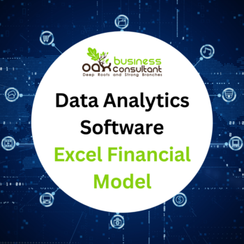 Data Analytics Software Excel Financial Model