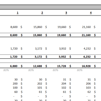 Drug Rehab Excel Financial Model Template-Income Statement (Monthly)